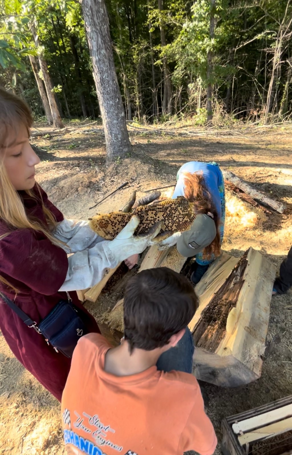 Wild Beehive Rescue!